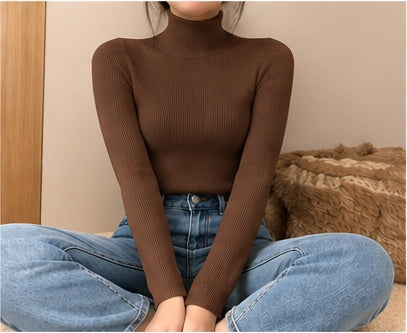 Pull col roulé femme en maille fine - Brown